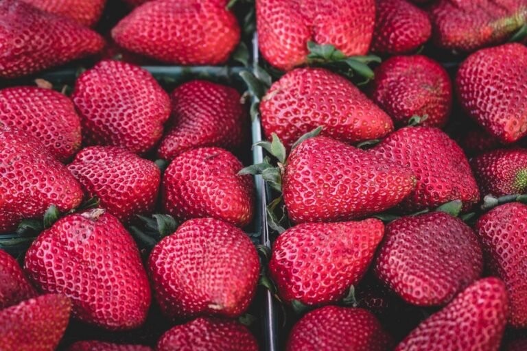 A Guide to Elegant Minimalist Design